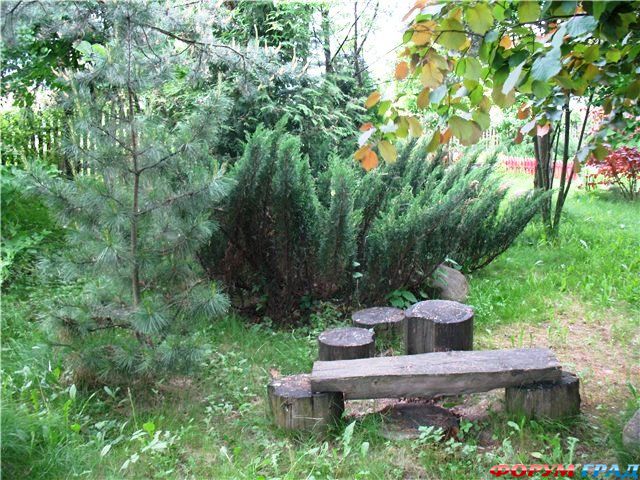 Пенек в ландшафтном дизайне Пенек в ландшафтном дизайне