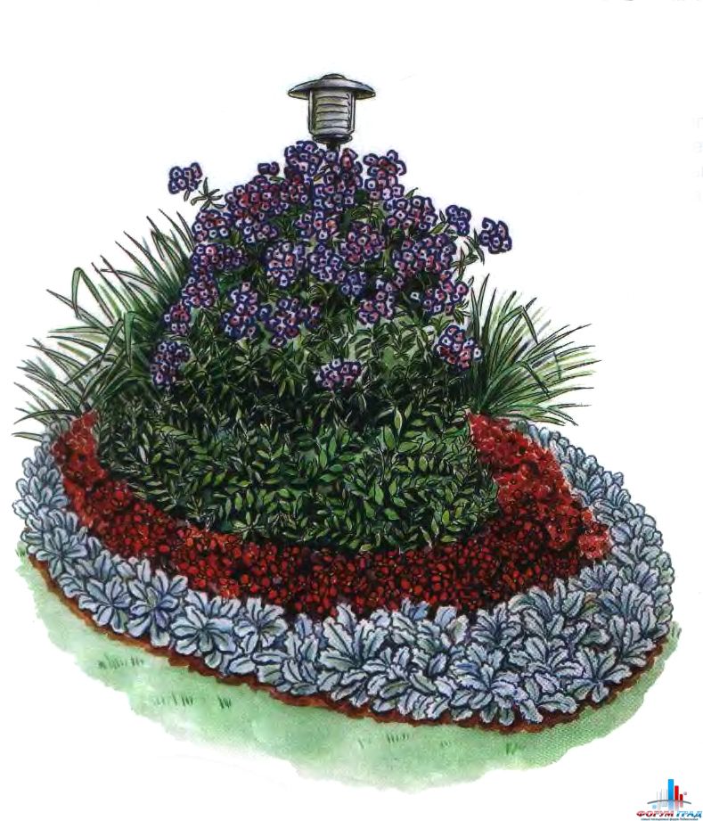 Клумба рисунок