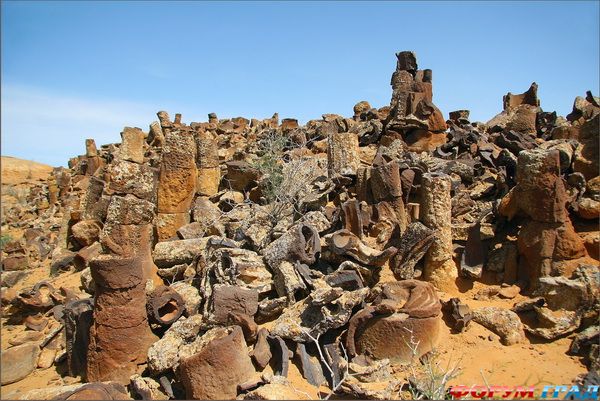 Каменный лес в Кызылкуме