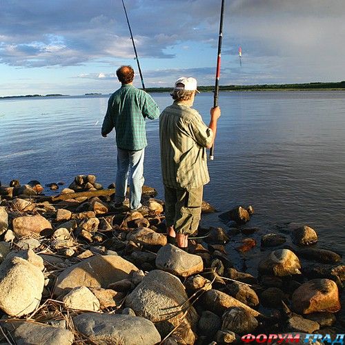 Рыбалка в дельте Волги