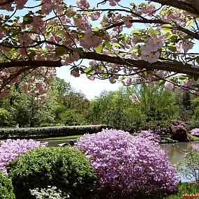 Ботанический сад Миссури