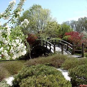 Миссурийский ботанический сад