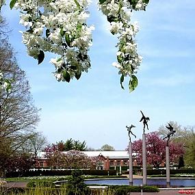 Миссурийский ботанический сад