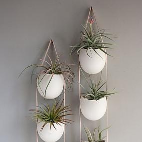 Hanging Planters And Container Garden Ideas For Indoors