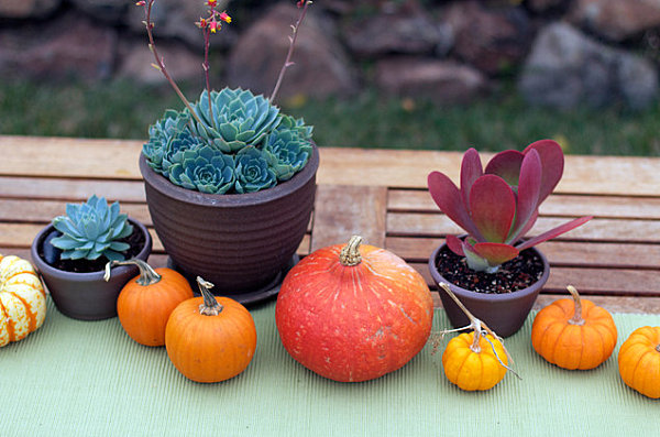 Table Setting Ideas for Next Festive