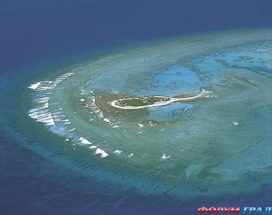 barrier-reef-16