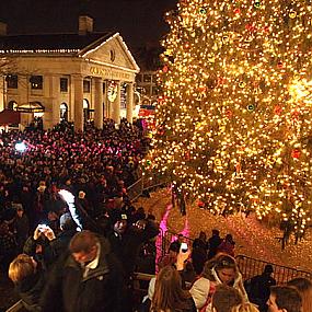 bostons-faneuil-hall-christmas-tree