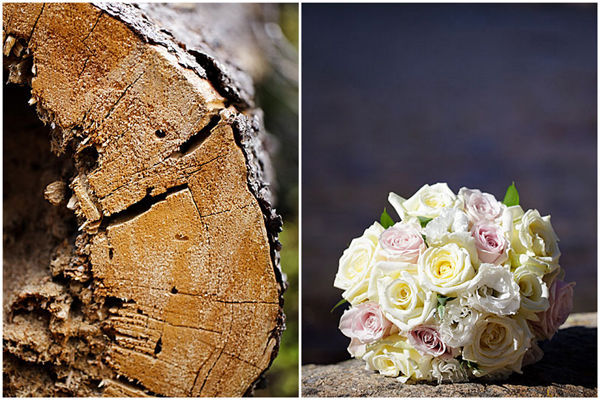 colorado-wedding