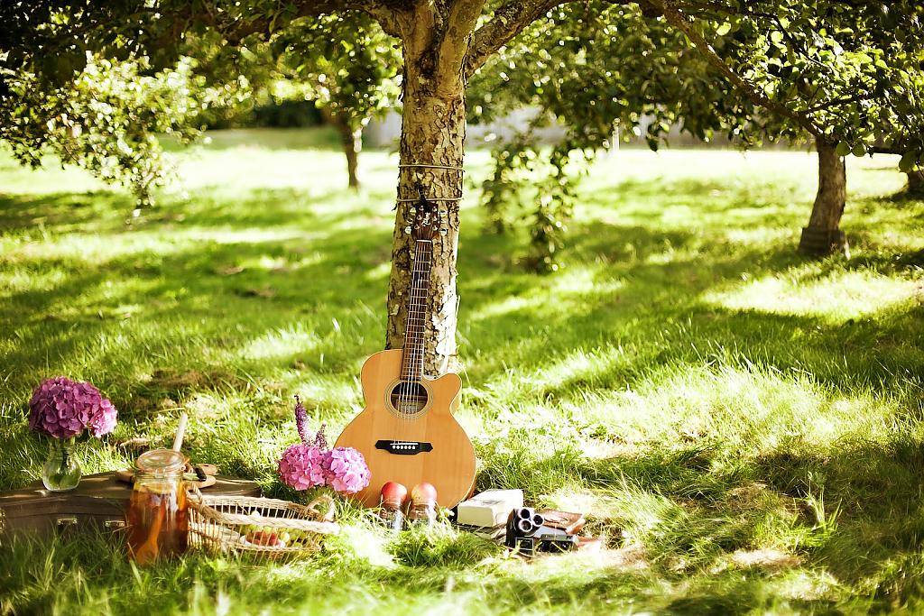 picnic-style-engagement