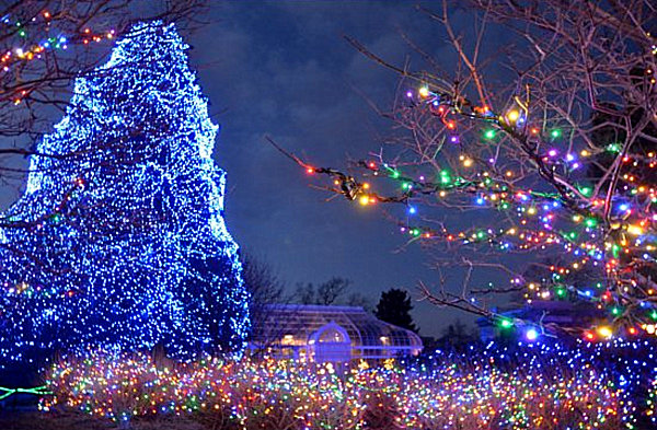 the-christmas-tree-at-the-toledo-zoo-in-ohio
