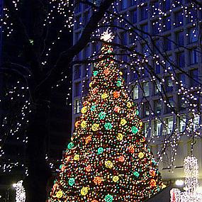 the-daley-plaze-christmas-tree-in-chicago