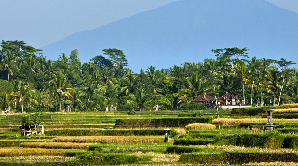 Como Uma Ubud Resort на Бали
