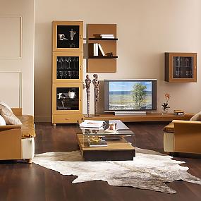 design-interior-living-room-idea-12