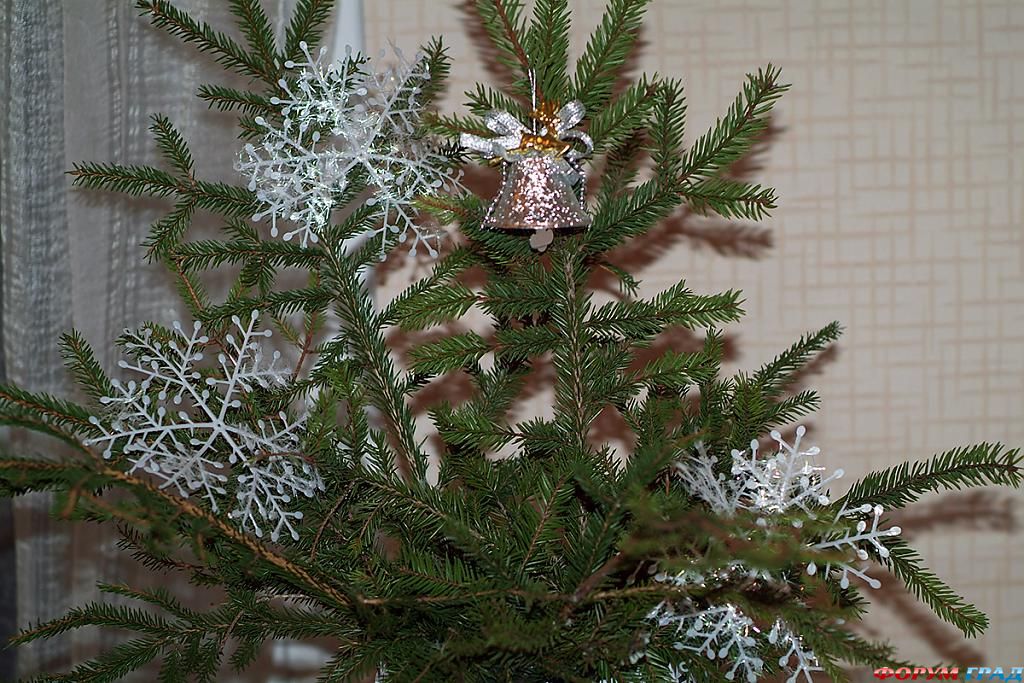 tree-blossom-01