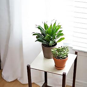 diy-plant-stand-4