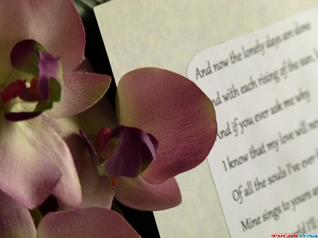 invitation-for-wedding-04