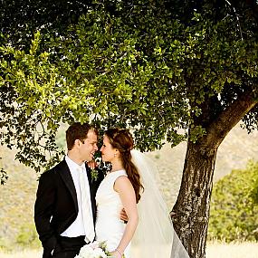 newlyweds-under-tree-02