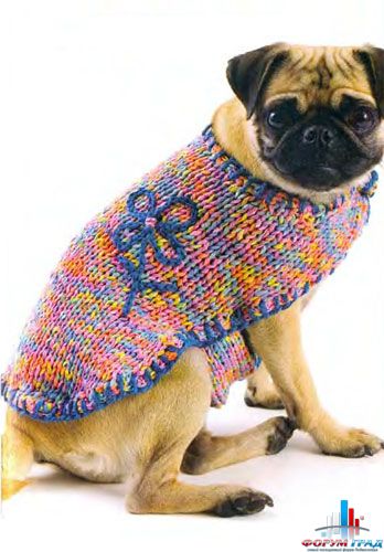 Вязание одежды для собак
