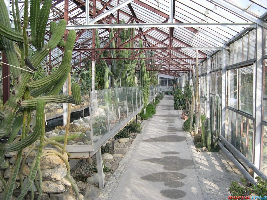 Никитский ботанический сад