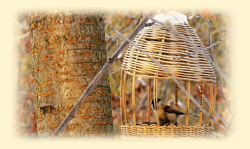 Плетеная кормушка для птиц своими руками