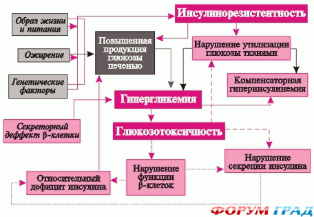 диета abc light меню