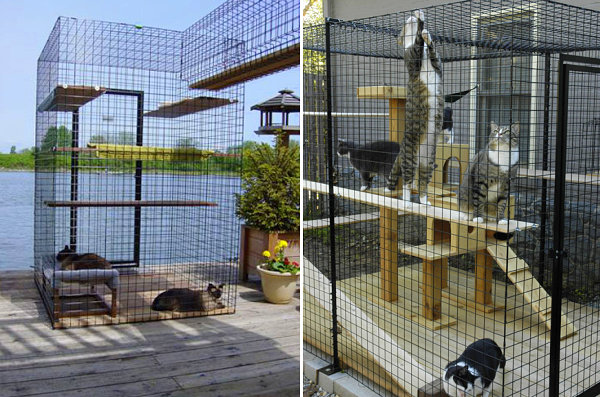 catio-outdoor-cat-enclosures-3