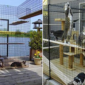 catio-outdoor-cat-enclosures-3