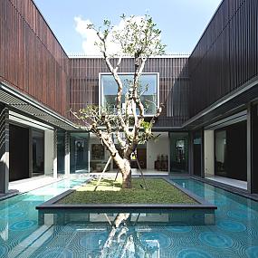 centennial-tree-house-design-1
