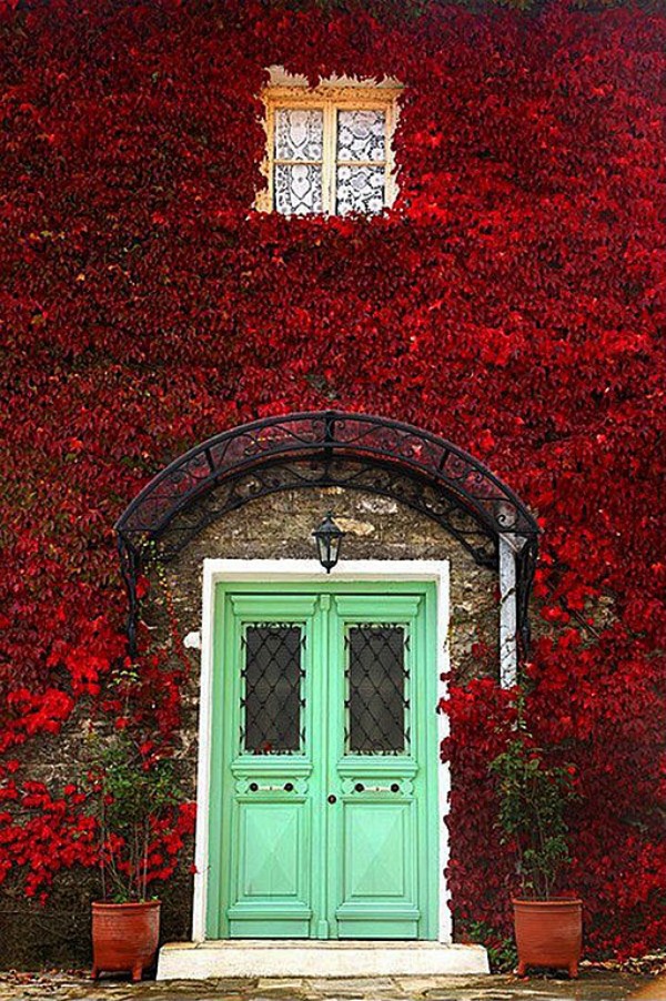 cool-painted-front-doors-14