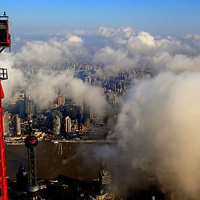 crane-shanghai-wei-gensheng-11