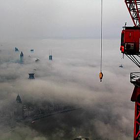 crane-shanghai-wei-gensheng-6