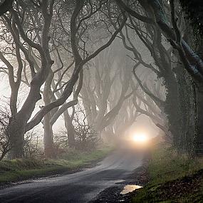 dark-hedges-northern-ireland-10