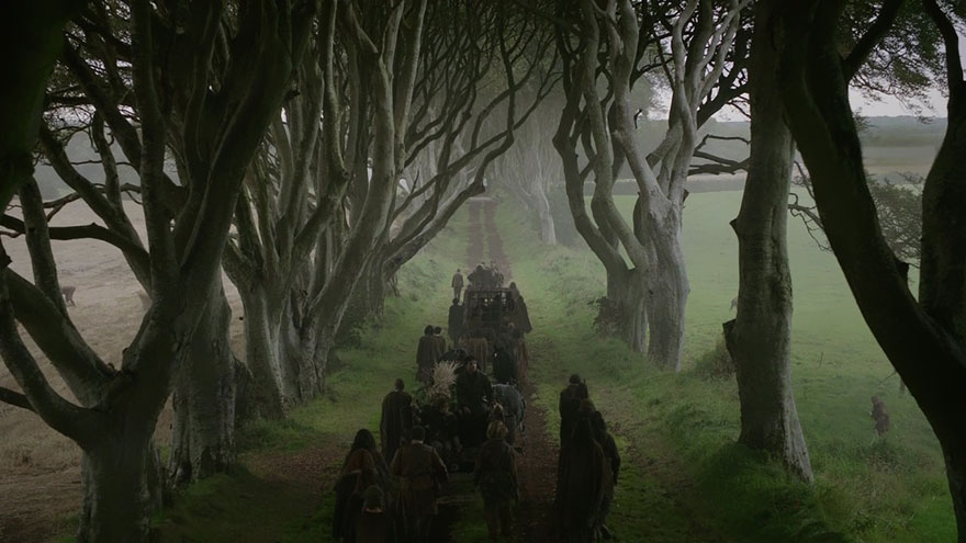 dark-hedges-northern-ireland-12