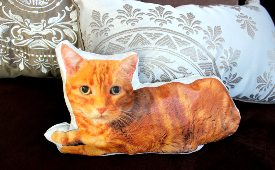 diy-custom-cat-pillow-11