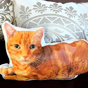 diy-custom-cat-pillow-11
