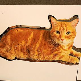 diy-custom-cat-pillow-3