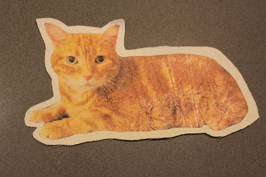 diy-custom-cat-pillow-6