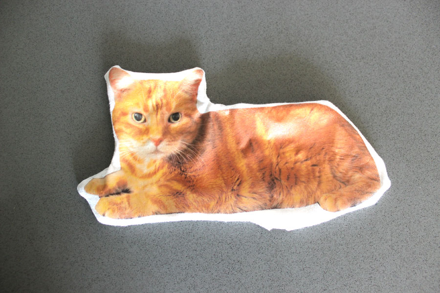 diy-custom-cat-pillow-9