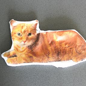 diy-custom-cat-pillow-9