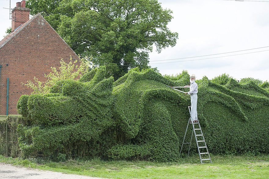 dragon-topiary-by-john-brooker-4