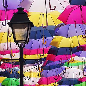floating-umbrellas-canopy-aqueda-3