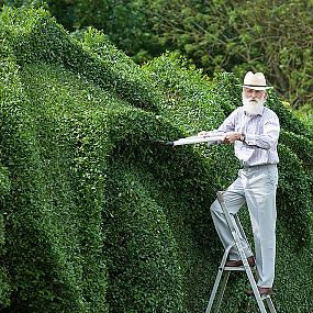 john-brookers-dragon-hedge-5