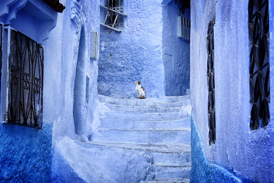 morocco-blue-walls-town-chefchaouen-5