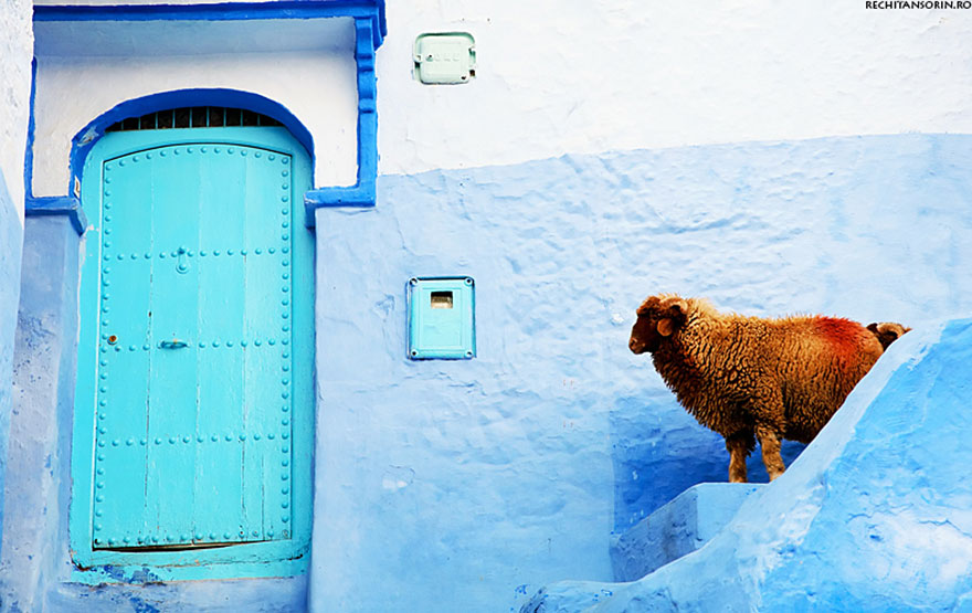 morocco-blue-walls-town-chefchaouen-7