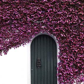 most-beautiful-doors-the-world-11