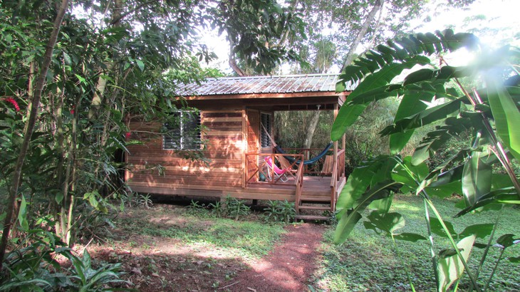 parrot-nest-lodge-beliz-4