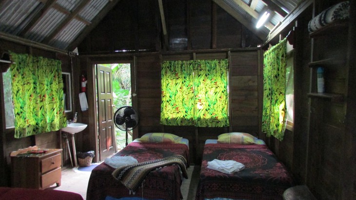 parrot-nest-lodge-beliz-8