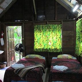 parrot-nest-lodge-beliz-8