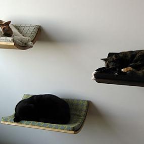 pet-cats-dogs-furniture-idea-15