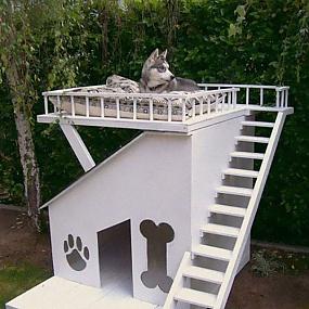 pet-cats-dogs-furniture-idea-25